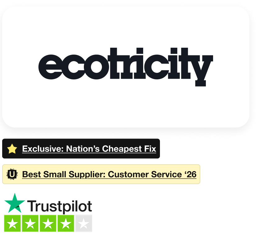 Ecotricity Logo